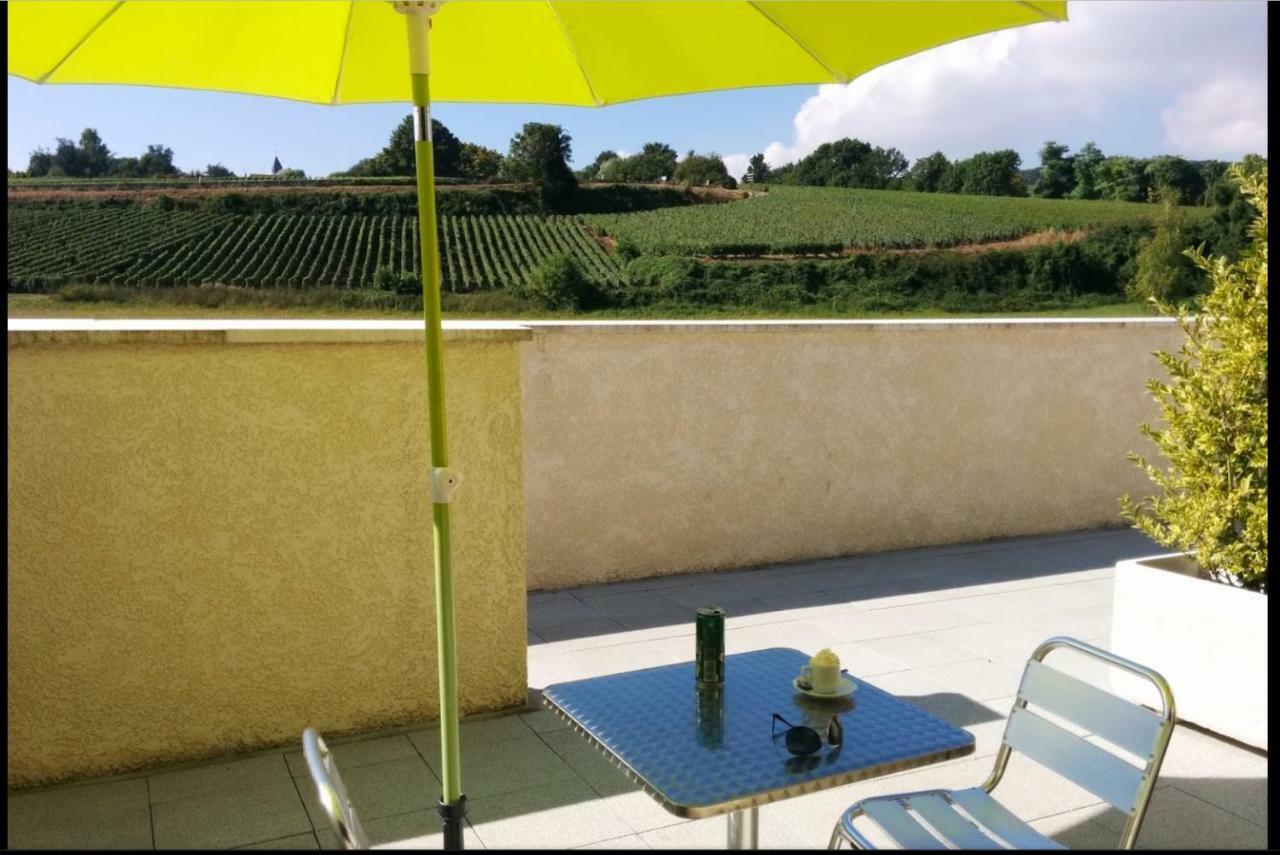 Gites Des Sablons Châtillon-sur-Marne Exterior foto